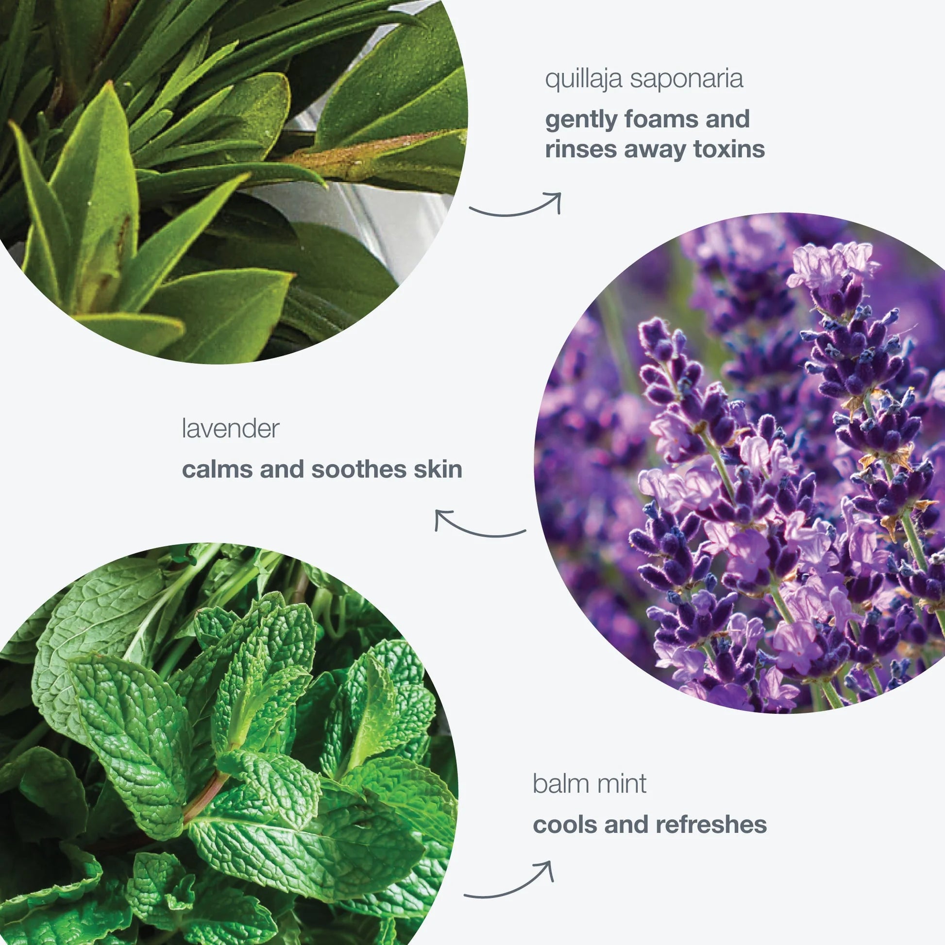 Special Cleansing Gel Travel