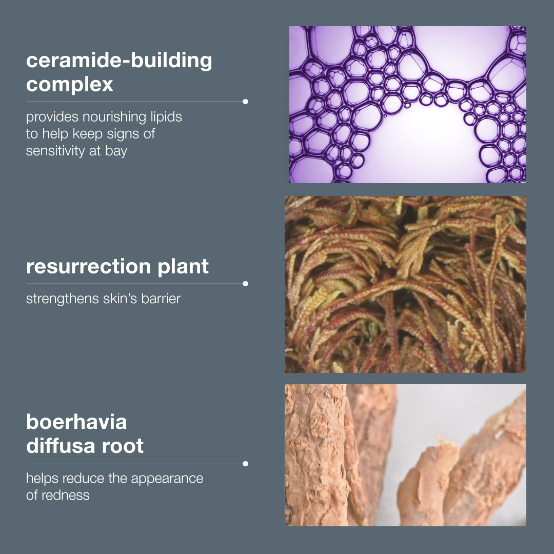 Stabilizing Repair Cream