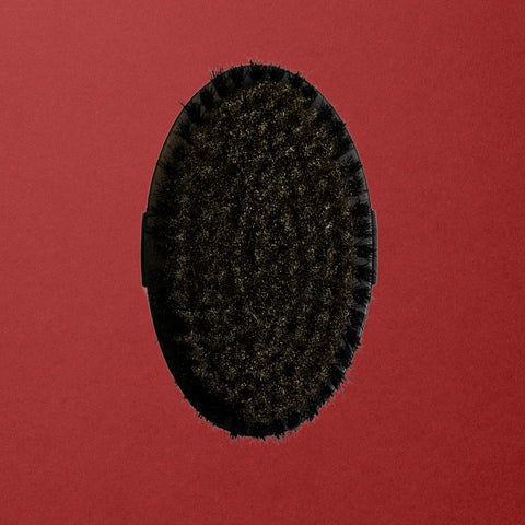 Ionic Dry Body Brush