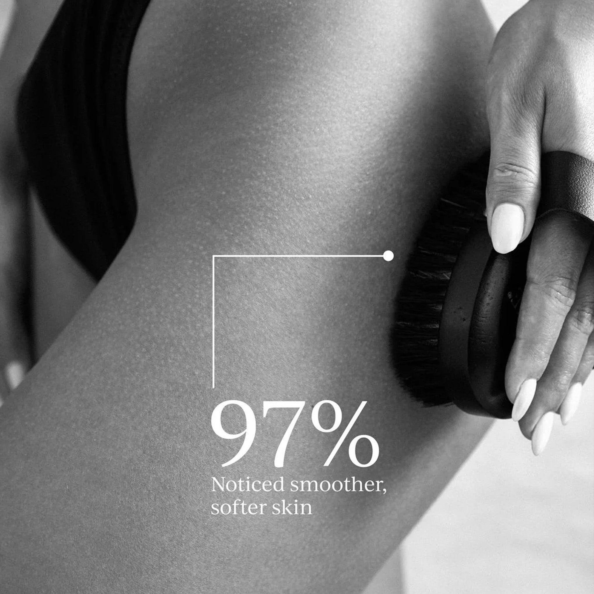 Ionic Dry Body Brush