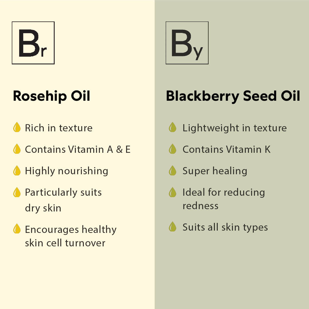 By Blackberry Seed Oil Biologi